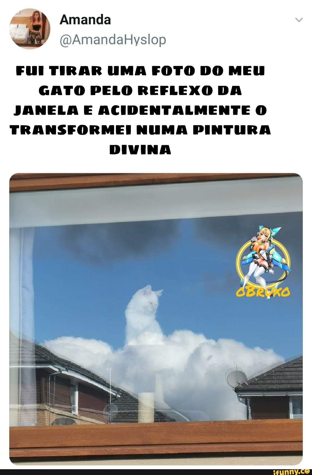 FUI TIRAR UMA FOTO DO MEU GATO PELO REFLEXO DA JANELA E ACIDENTALMENTE O TRANSFORMEI NUMA PINTURA DIVINA