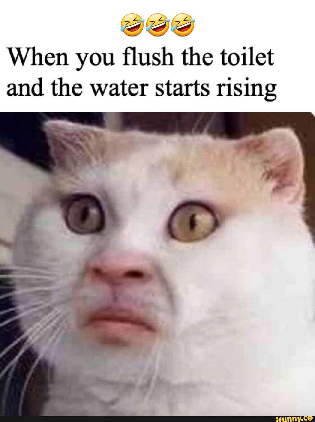 When you flush the toilet and the water starts rising - iFunny