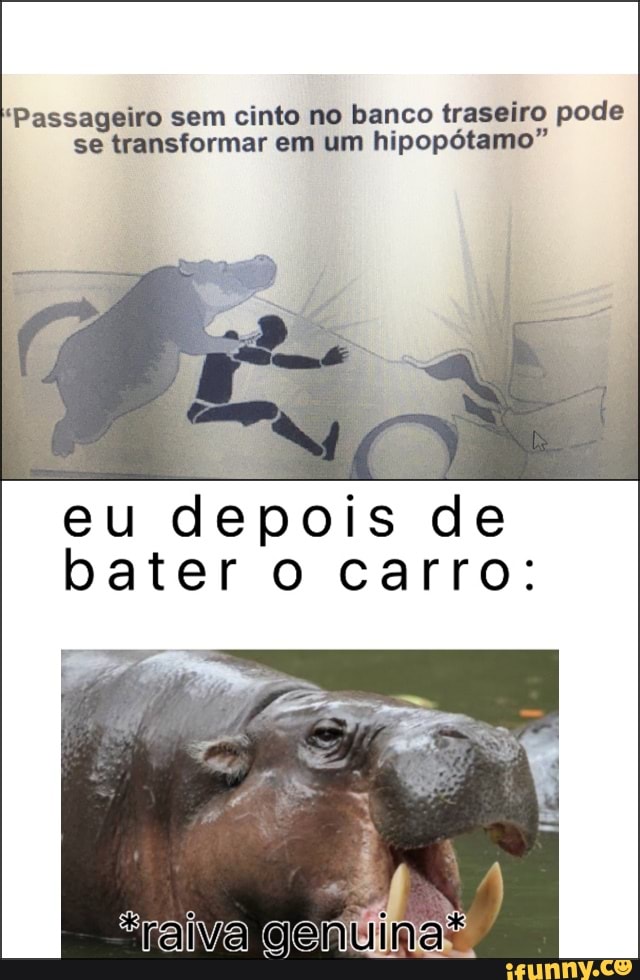 "Passageiro sem cinto no banco traseiro pode se transformar em um hipopótamo"
eu depois de bater o carro: