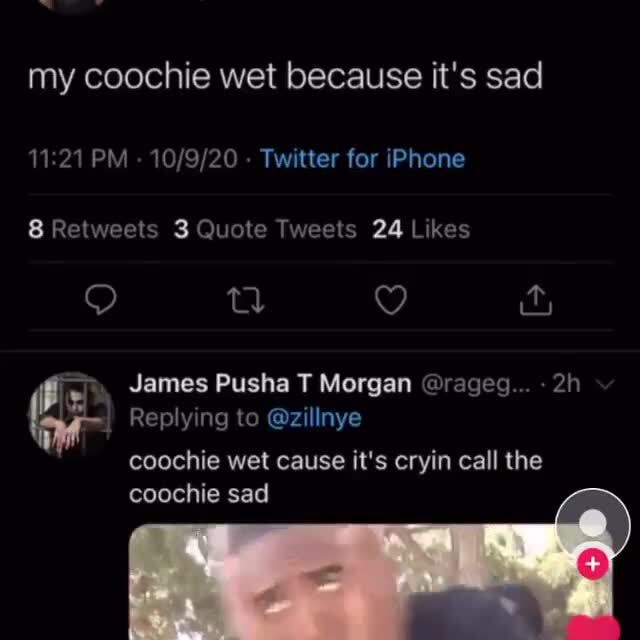 My Coochie Wet Because It S Sad Pm Twitter For Iphone Likes James Pusha T Morgan Rageg Replying To Zillnye Coochie Wet Cause It S Cryin Call The Coochie Sad Whlsm