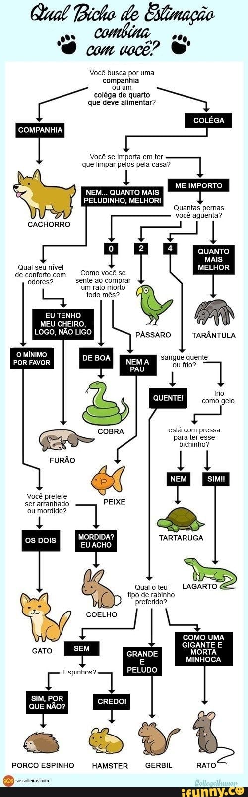 Qual Bicho de
O com mwcê?
Você busca por uma
companhia ou um
coléga de quarto que deve
COMPANHIA
Você se importa em ter que limpar peios pela casa?
NEM... QUANTO MAIS
PELUDINHO, MELHOR!
ME IMPORTO
Quantas pernas
você aguenta?
QUANTO
MAIS
MELHOR
Qual seu nível
de conforto co Como você se odores? sente um ao rato comprar morto um rato morto
EU TENHO
MEU CHEIRO,
MíNIMO
POR FAVOR
todo mês?
LOGO, NÃO LIGO PÁSSARO TARÂNTULA
CACHORRO
DE BOA sangue quente
PAU
ou írio?
QUENTEI
mo como gelo
está com pressa para ter esse bichinho?
TARTARUGA
COBRA
FURÃO
Você prefere
ser arranhado ou
PEIXE
EUACHO
COELHO
ento
Espinhos?
COMO UMA
GIGANTE
MINHOCA
GRANDE
PELUDO
I MORDIDA? Qual teu LAGARTO tipo de rabinho preferido?
SIM, POR QUE NÃO?
& &
com
PORCO ESPINHO HAMSTER GERBIL RATO