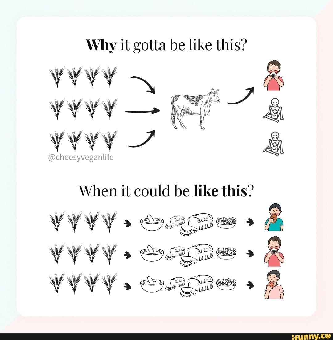 my it gotta be like this?
When it could be like this?