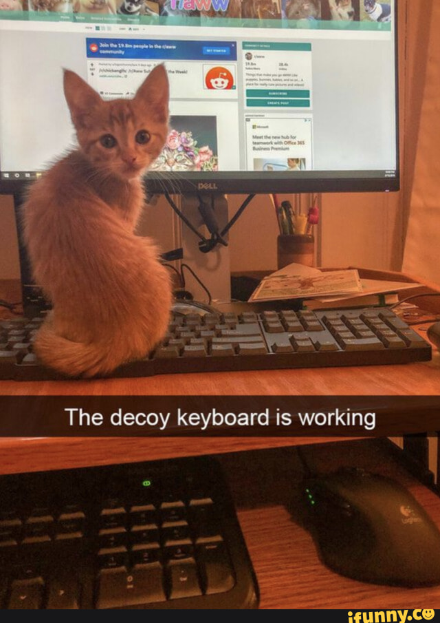 Keyboard memes. Best Collection of funny Keyboard pictures on iFunny