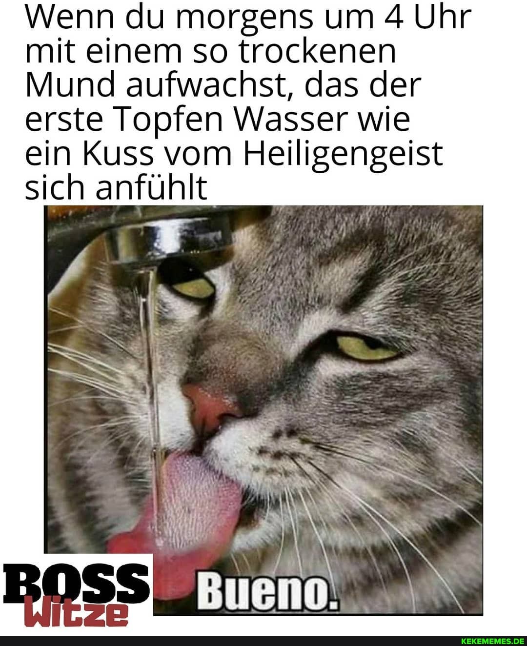 Wenn du morgens um 4 Uhr mit einem so trockenen
Mund aufwachst, das der erste Topfen Wasser wie
ein Kuss vom Heiligengeist sich anfühlt