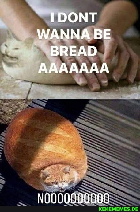 WANNA BE BREAD AAAAAAA