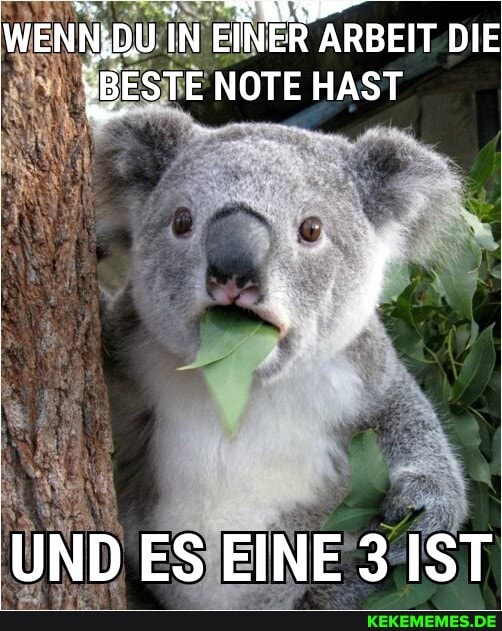 IN N EINER ARBI ARBEIT DIE
"BESTE NOTE HAST
UND ES EINE 3 IST