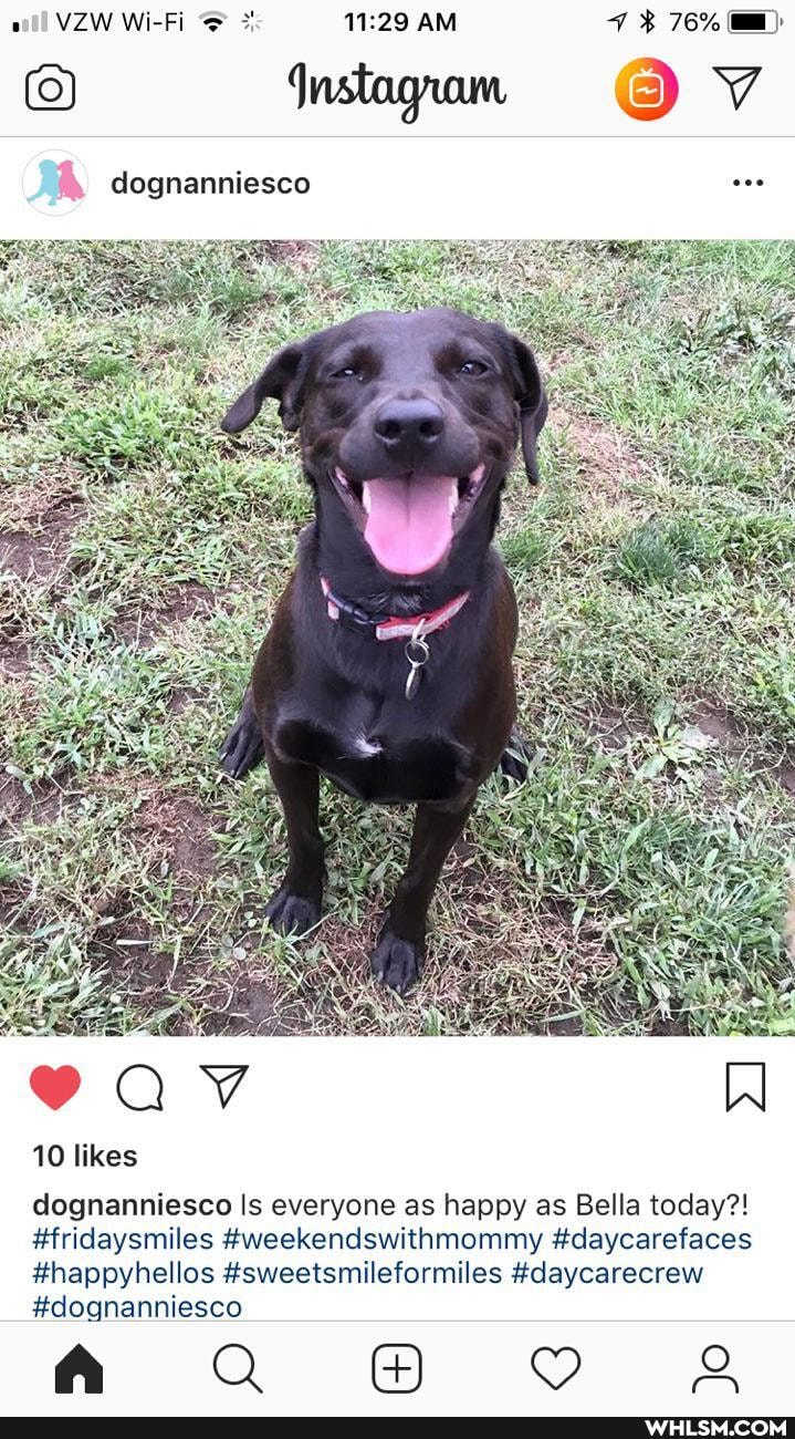 dognanniesco
10 likes
#dognanniesco
dognanniesco Is everyone as happy as Bella today?!
#fridaysmiles #weekendswithmommy #daycarefaces
#happyhellos #sweetsmileformiles #daycarecrew