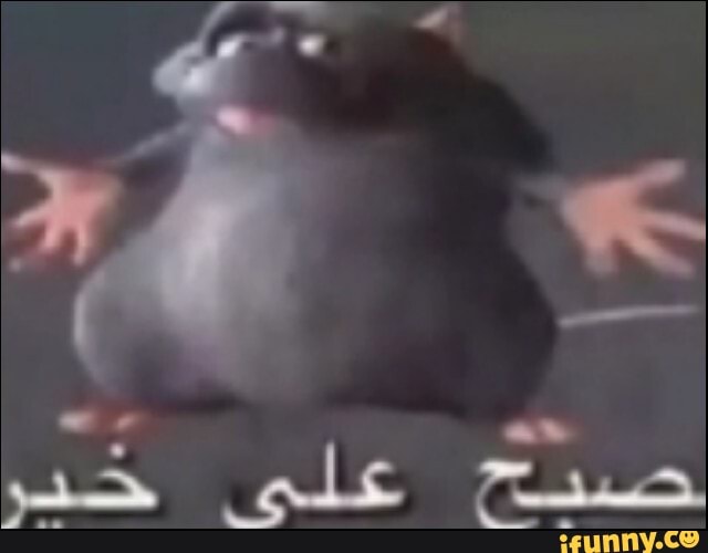 coletivo, shitpost, shitpostbr, shitposting