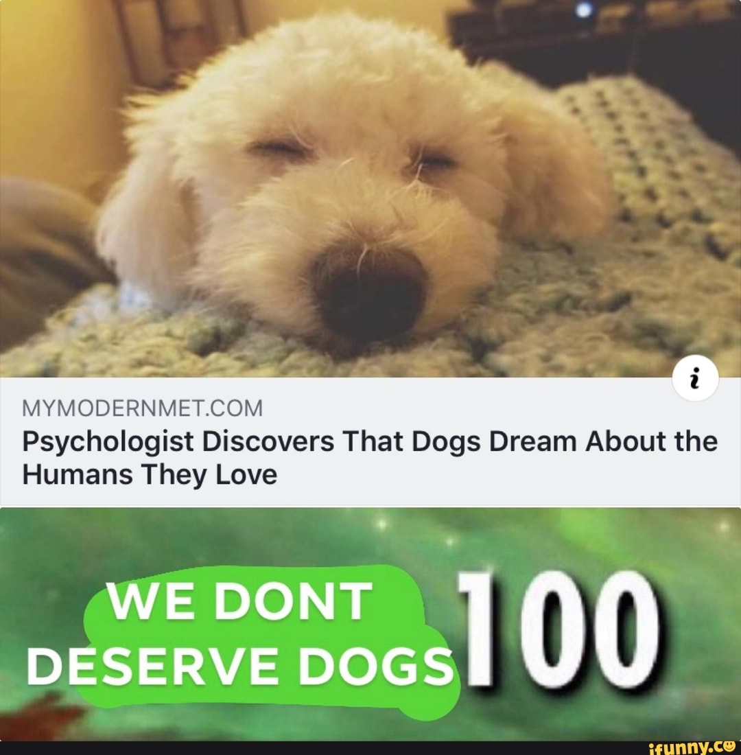 Psychologist Discovers That Dogs Dream About the Humans