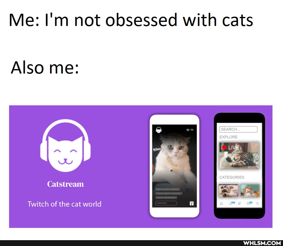 Me: I'm not obsessed with cats
Also me:
Twitch of the cat world