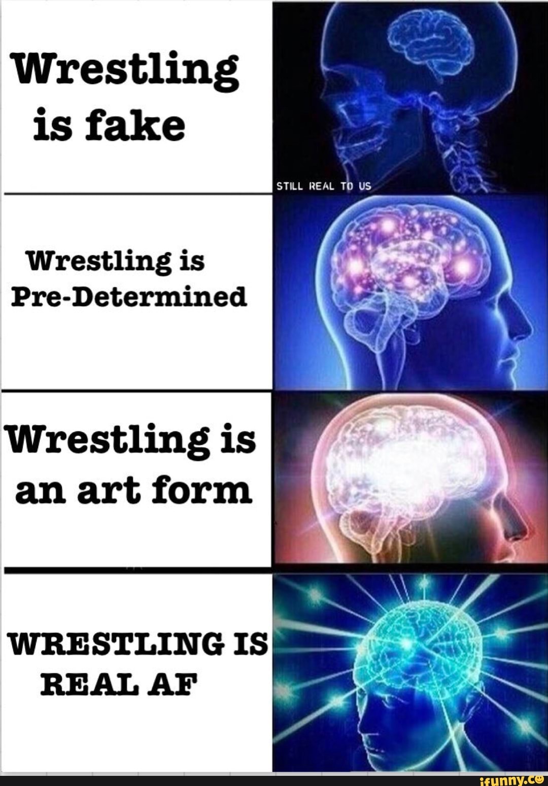 Wrestling is fake Wrestling is PreDetermined Wrestling is an art form