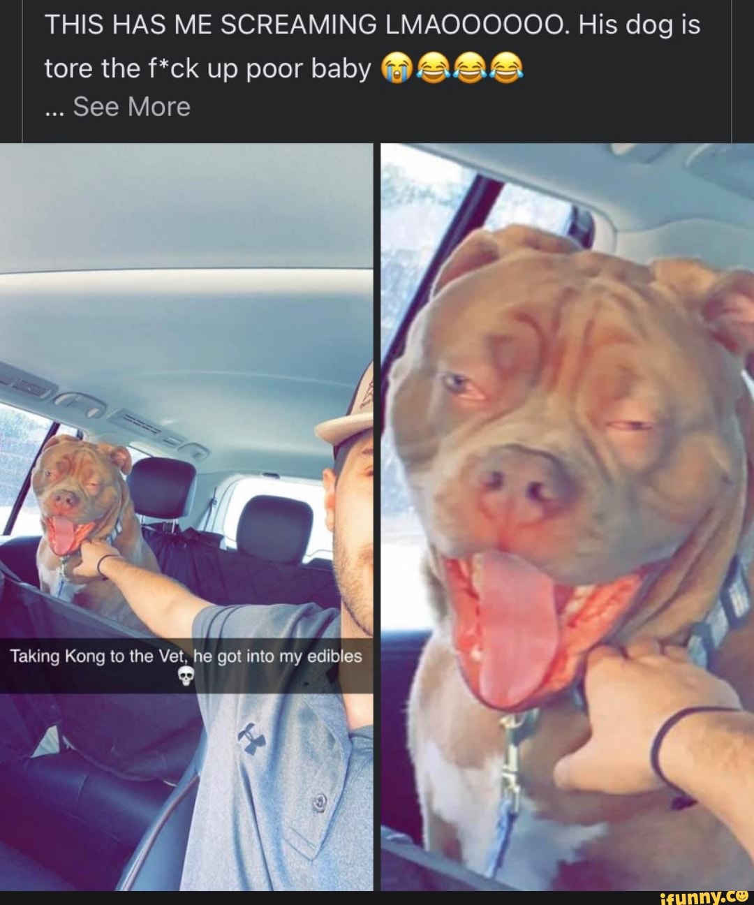 THIS HAS ME SCREAMING LMAOOOOOO. His dog is
tore the f*ck up poor baby
See More
Taking Kong to the got into my edibles