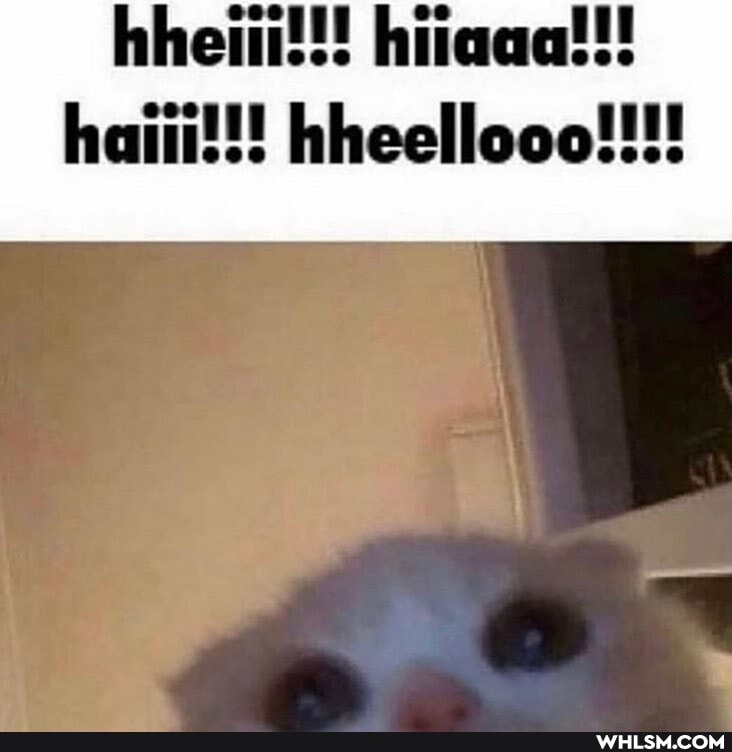 hen
haiti!!! hheellooo!!!!