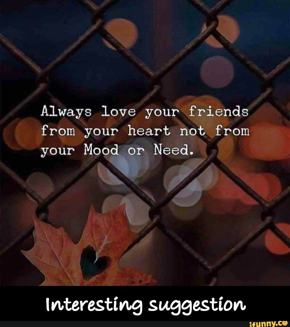 Suggestion box v2. Suggest в английском. Modal verbs модальные глаголы. собака лето книги. Spells before sleep.