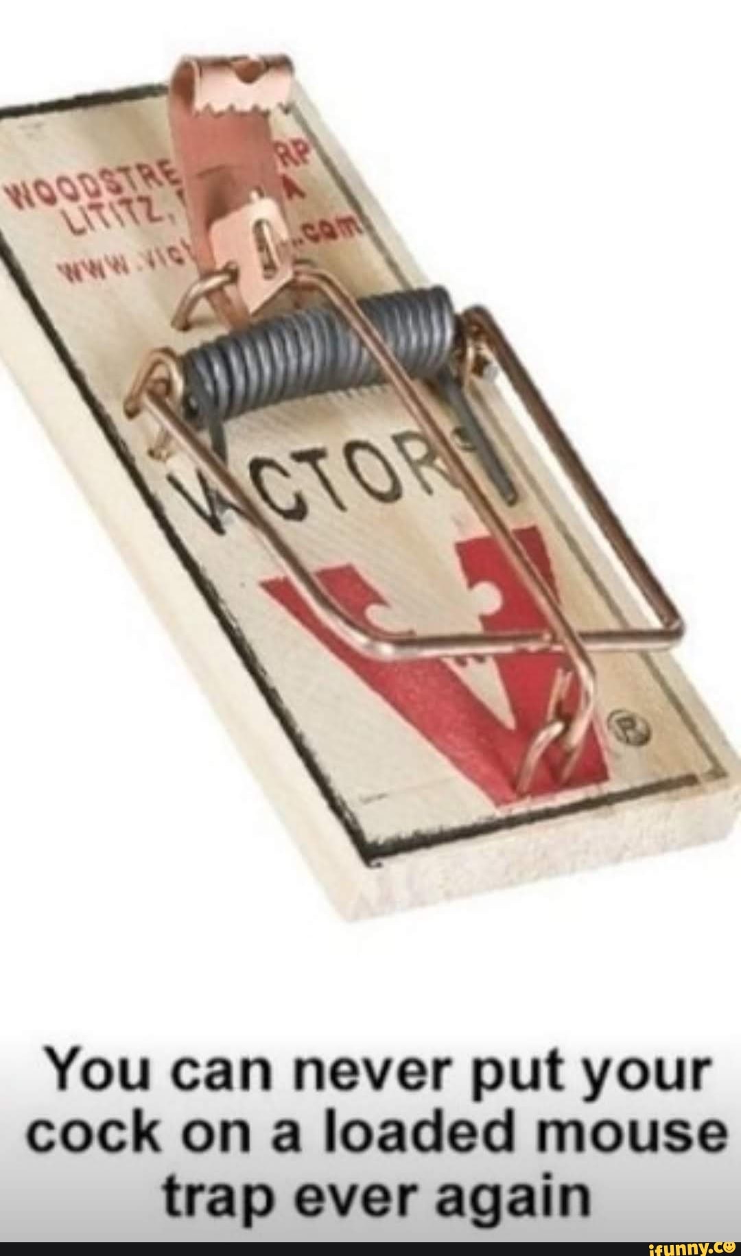 You can never put your cock on a loaded mouse trap ever again