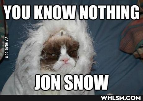 YOU KNOW NOTHING
JON SNOW