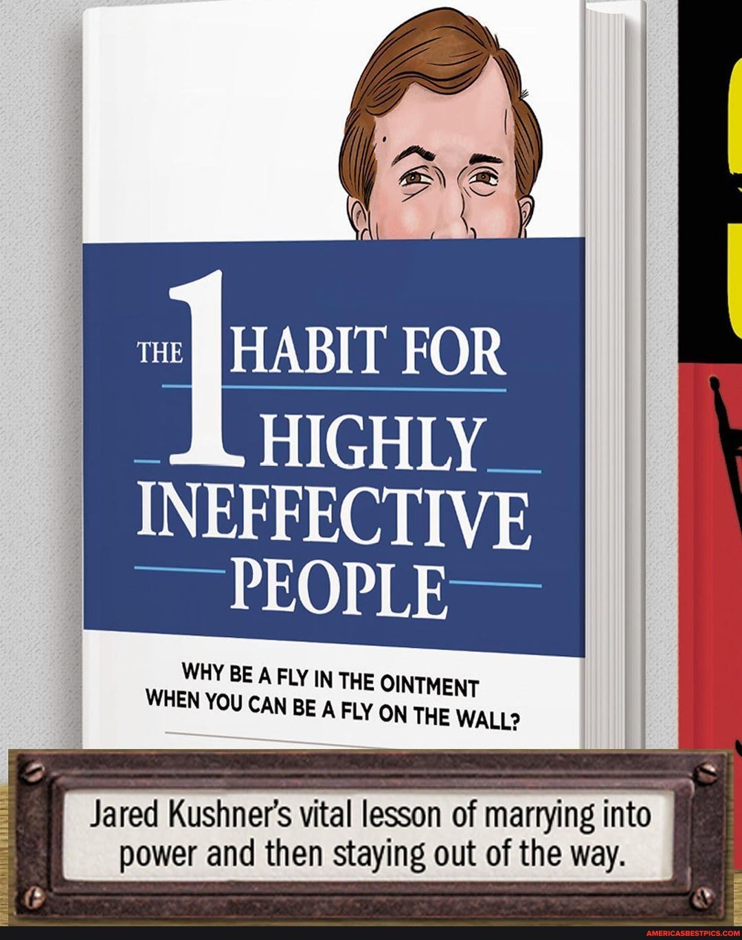 THE
HABIT FOR
HIGHLY
INEFFECTIVE PEOPLE -
WHY BE A FLY IN THE OINTMENT WHEN YOU CAN BE A FLY ON THE WALL?
Jared Kushner's vital lesson of marrying into power and then staying out of the way.