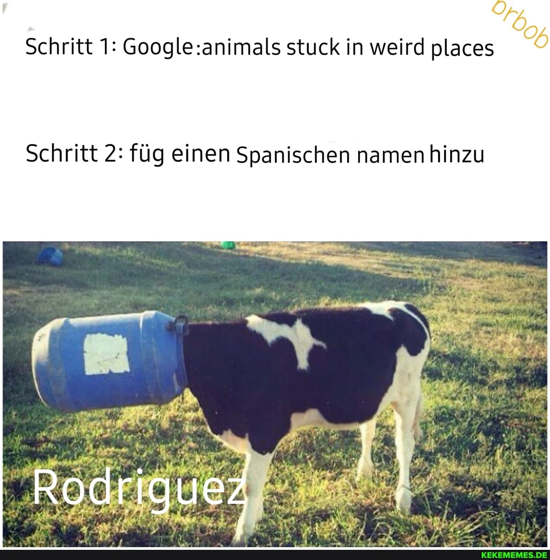 Schritt 1: stuck in weird places
Schritt 2: füg einen Spanischen namen hinzu
Rodriguez
ER