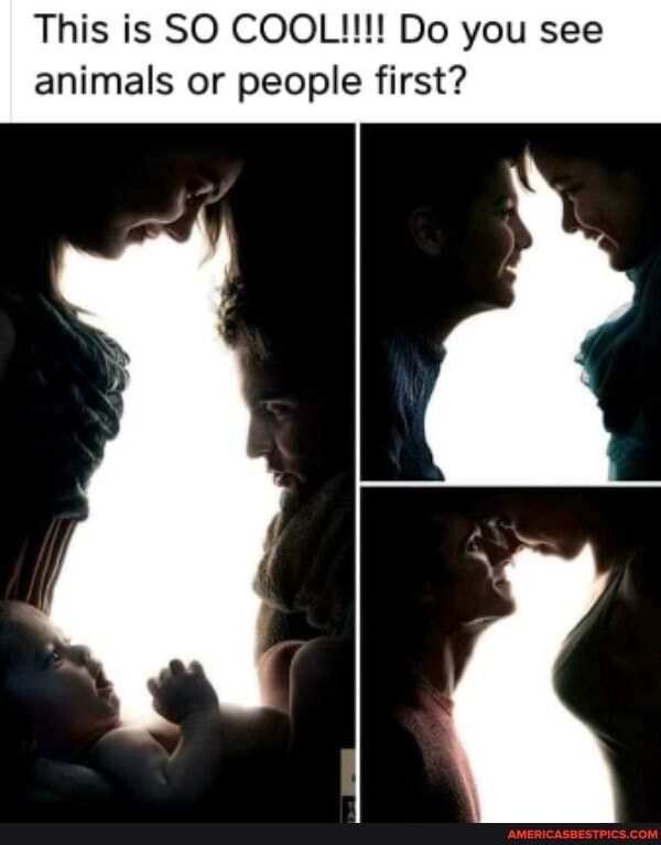 This is SO COOL!!!! Do you see animals or people first?