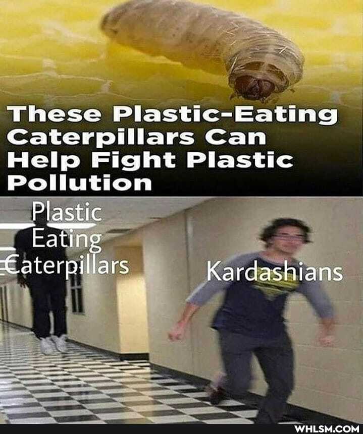 These Plastic-
Caterpillars Can
Help Fight Plastic
Pollution
= ail
Plastic
Eating
ars