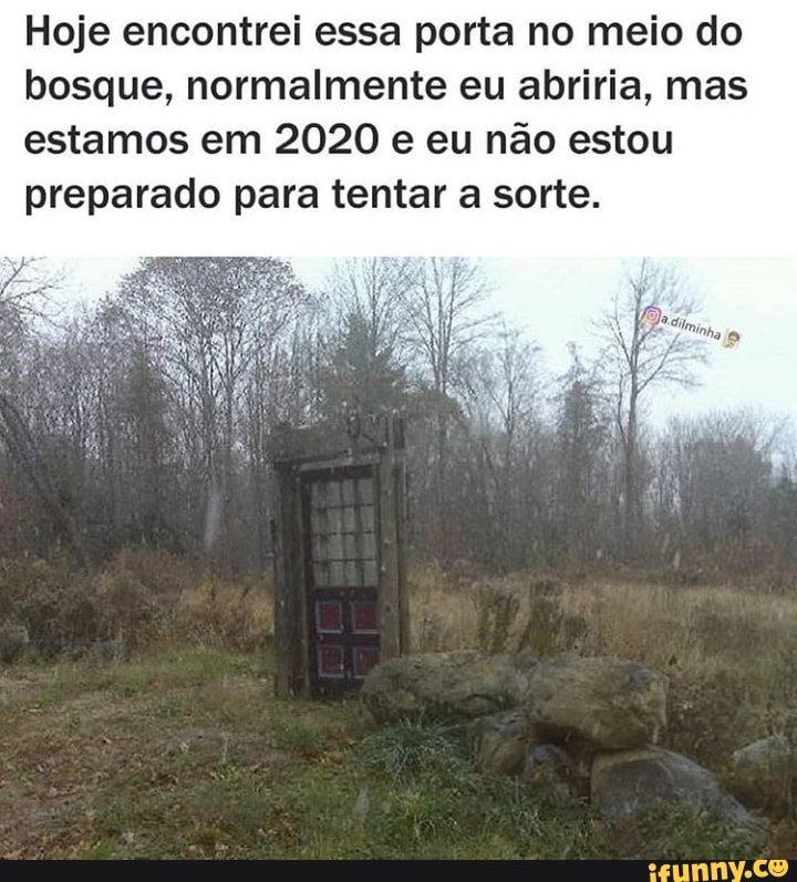 Hoje encontrei essa porta no meio do bosque, normalmente eu abriria, mas estamos em 2020 e eu não estou preparado para tentar a sorte.
