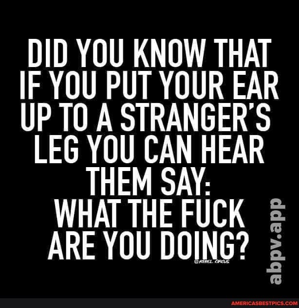 DID YOU KNOW THAT
IF YOU PUT YOUR EAR
UP A STRANGER'S LEG YOU CAN HEAR
THEM SAY:
WHAT THE FUCK ARE YOU DOING?
abpv.app