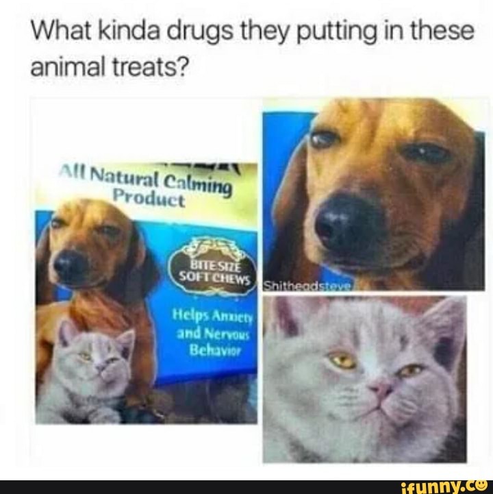Annery memes. Best Collection of funny Annery pictures on iFunny