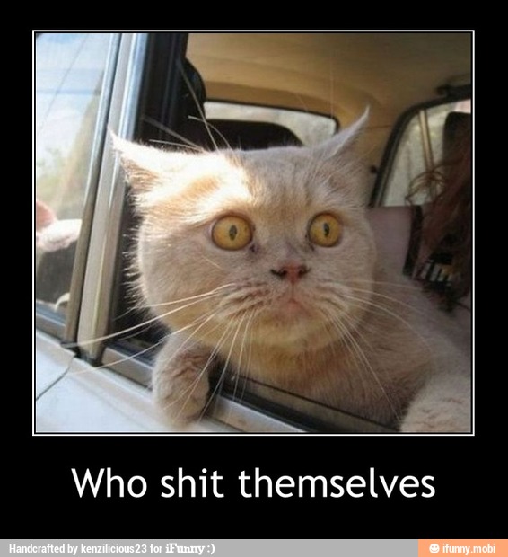 Who shit themselves - Who shit themselves