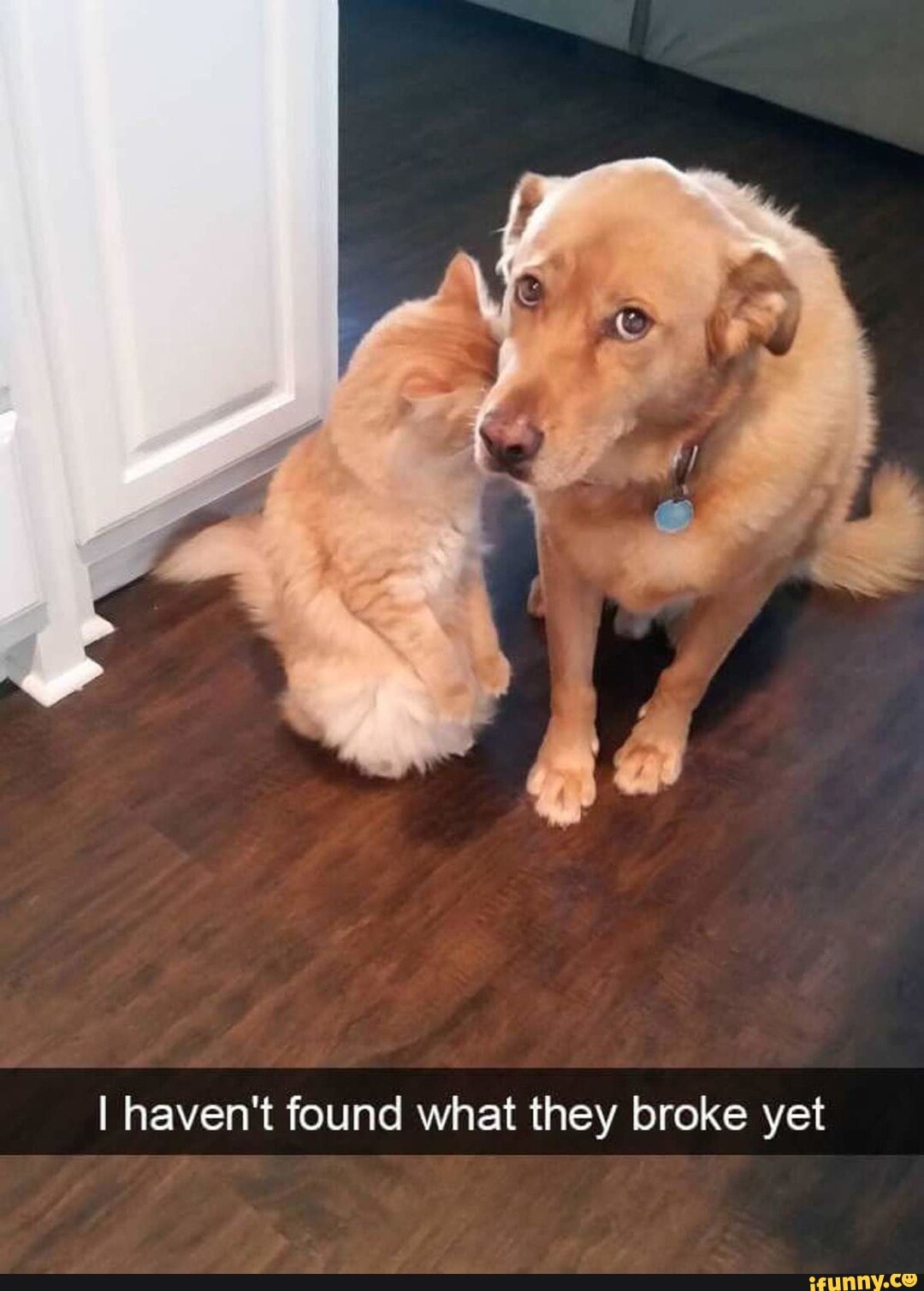 I haven't found what they broke yet
