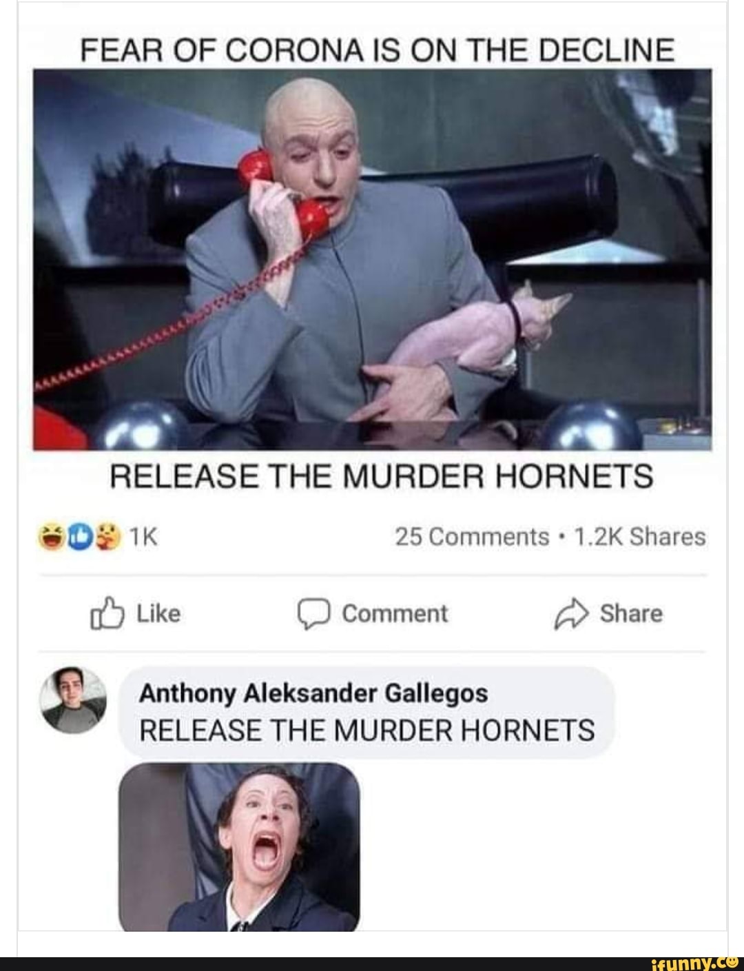 RELEASE THE MURDER HORNETS
é RR Comment Aa
5 Anthony Aleksander Gallegos
RELEASE THE MURDER HORNETS