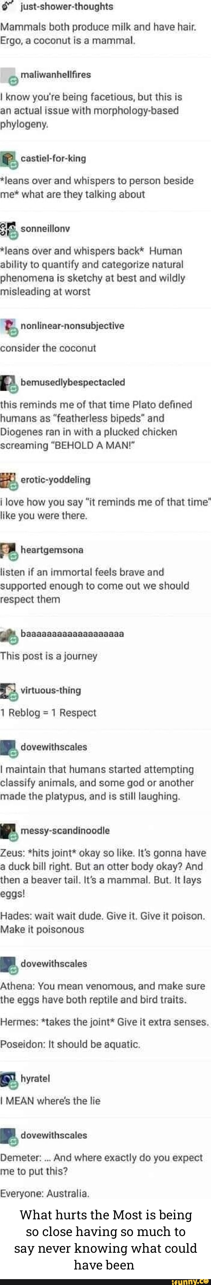 Mammals both produce milk and have hair. Ergo, a coconut is a mammal. I