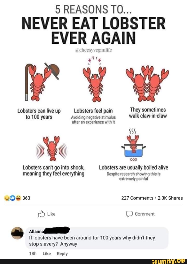 5 REASONS TO... NEVER EAT LOBSTER EVER AGAIN Lobsters can live up