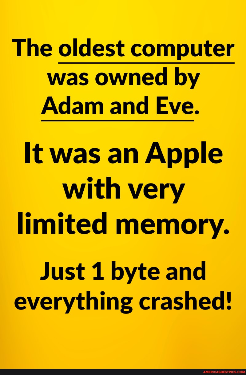 The oldest computer was owned by
Adam and Eve.
It was an Apple with very limited memory.
Just 1 byte and everything crashed!