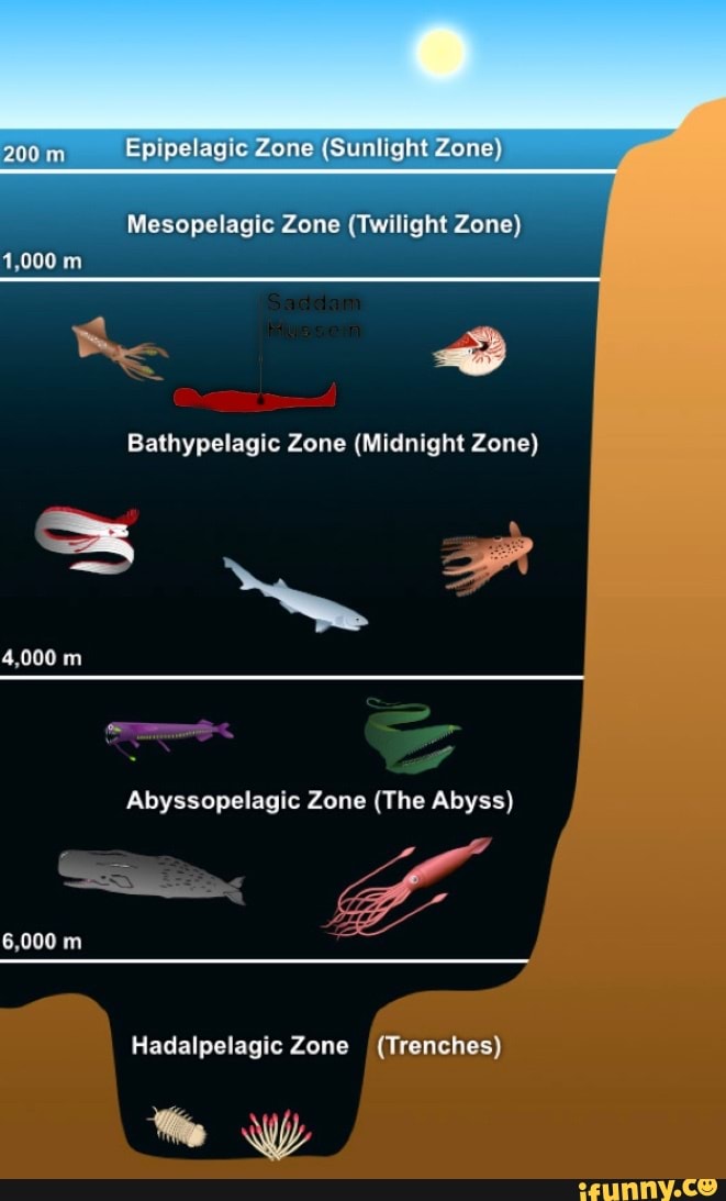 200 Epipelagic Zone (Sunlight Zone) Mlesopelagic Zone (Twilight Zone