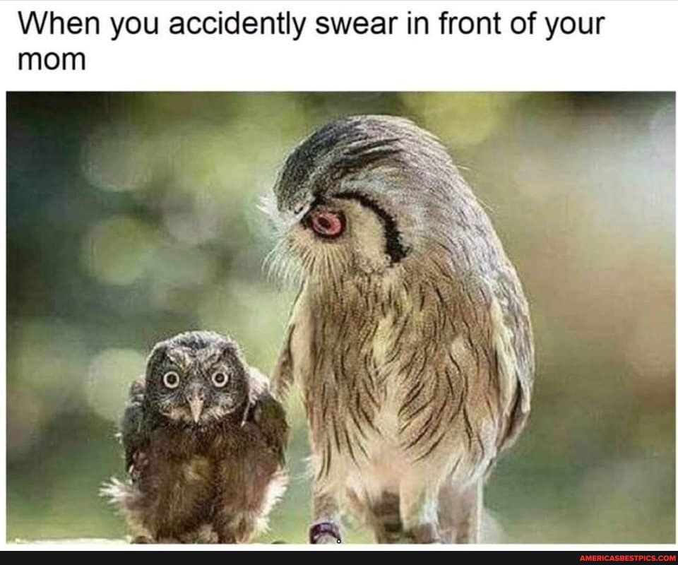 When you accidently swear in front of your mom
REL