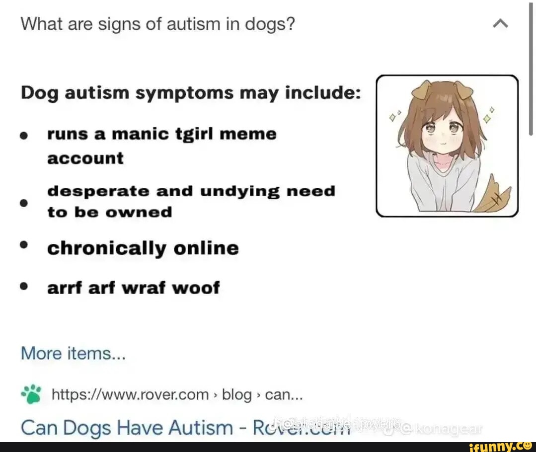 What are signs of autism in dogs? 