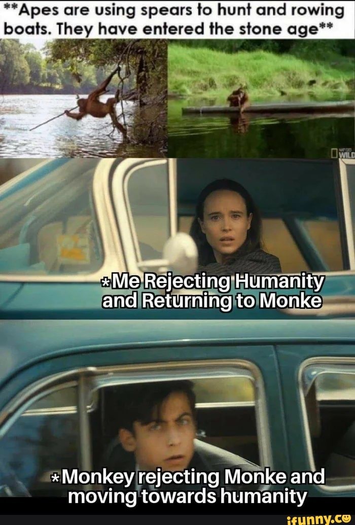 **Apes are using spears to hunt and rowing boats. They have entered the