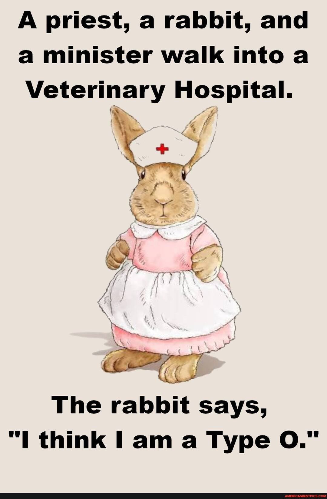 A priest, a rabbit, and
a minister walk into a
Veterinary Hospital.
\ }
> f de
Br
The rabbit says,
"I think I am a Type OO."