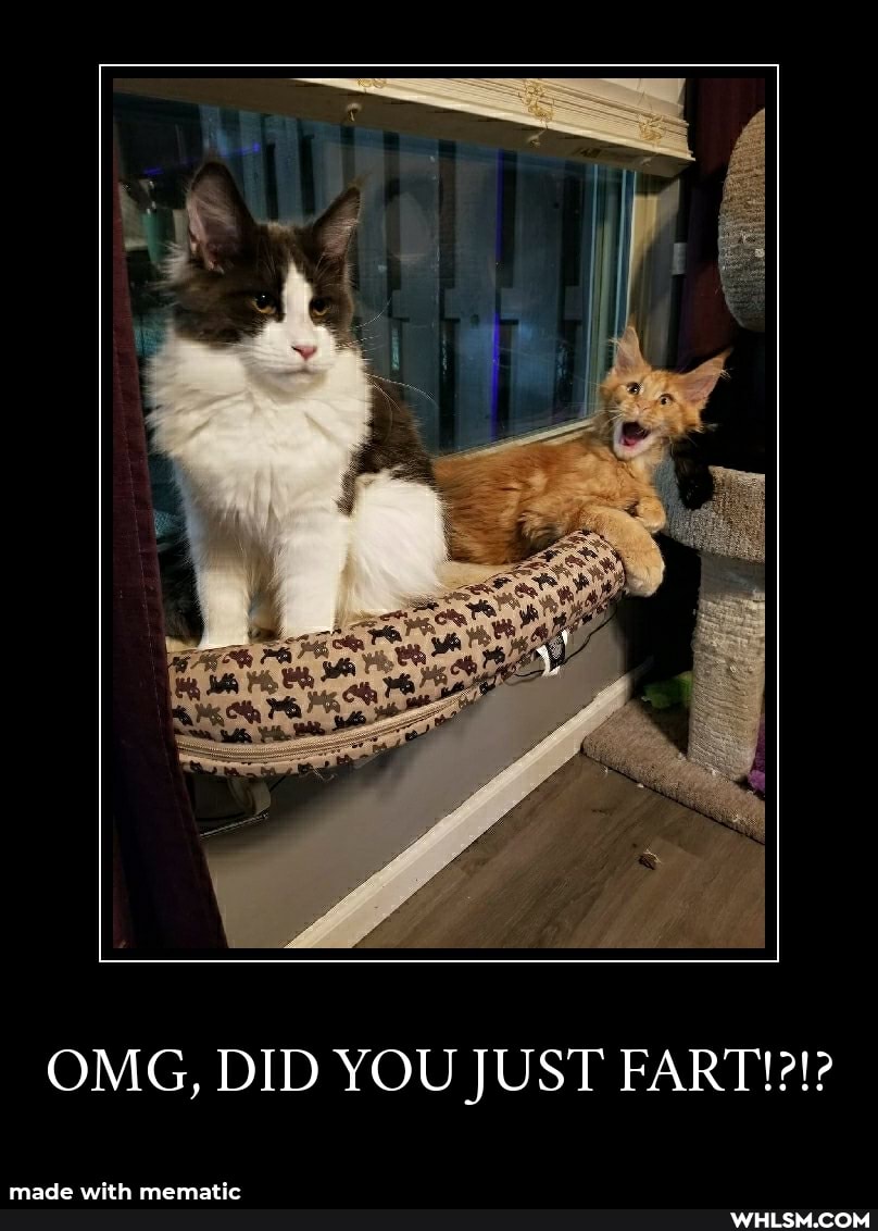 OMG, DID YOU JUST FART!?!?