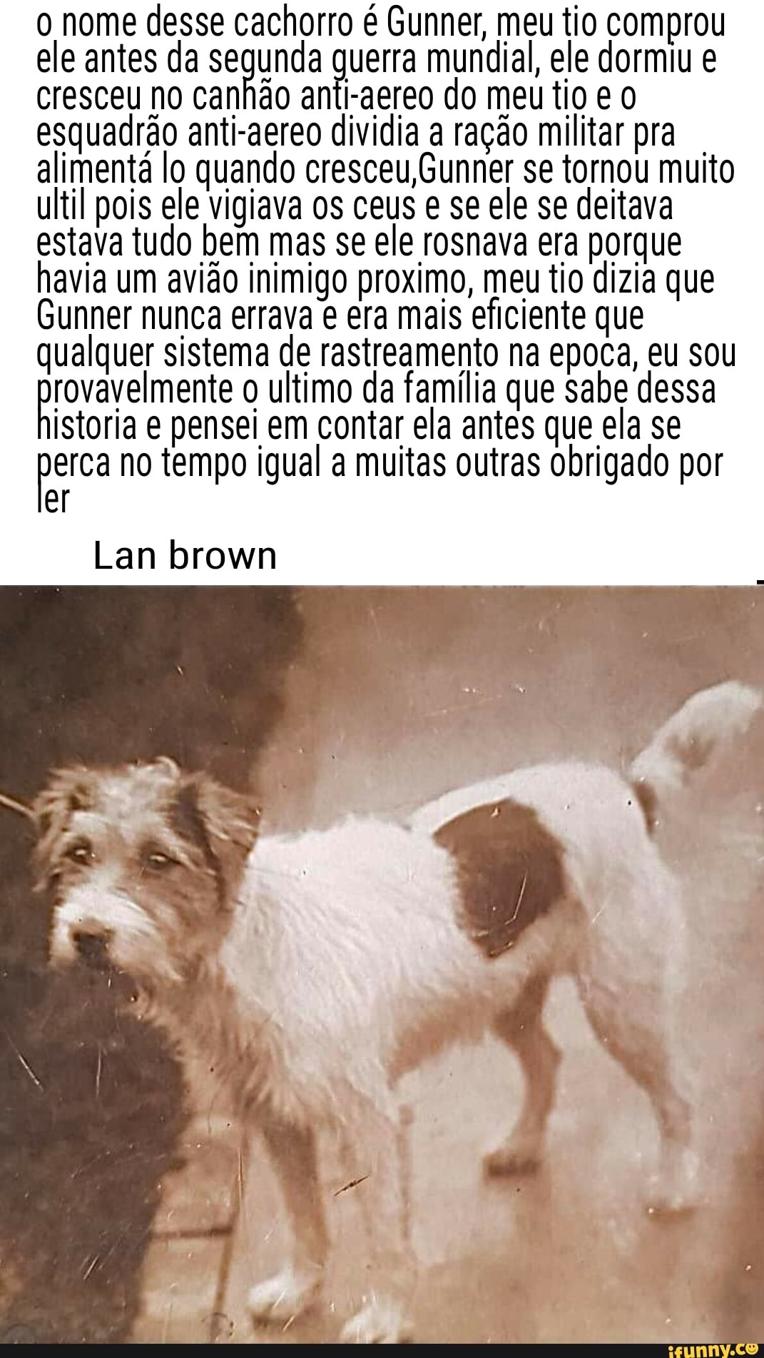 o nome desse cachorro é Gunner, meu tio comprou ele antes cresceu da no segunda uerra mundial, do meu ele dormiu e cresceu no canhão anti-aereo do meu tio e esquadrão anti-aereo dividia a ração militar pra alimentá lo quando cresceu Gunner se tornou muito til pois ele vigiava os ceus e se ele se deitava estava tudo bem mas se ele rosnava era porque havia um avião inimigo proximo, meu tio dizia que
Gunner nunca errava era mais eficiente que qualquer sistema de rastreamento na epoca, eu sou provavelmente ultimo em da família contar ela que sabe dessa ela se
istoria e pensei em contar ela antes que ela se perca no tempo igual a muitas outras obrigado por er
Lan brown