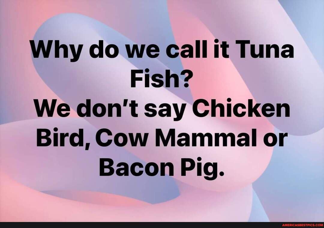 Why do we call it Tuna Fish? We don't say Chicken Bird, Cow Mammal or