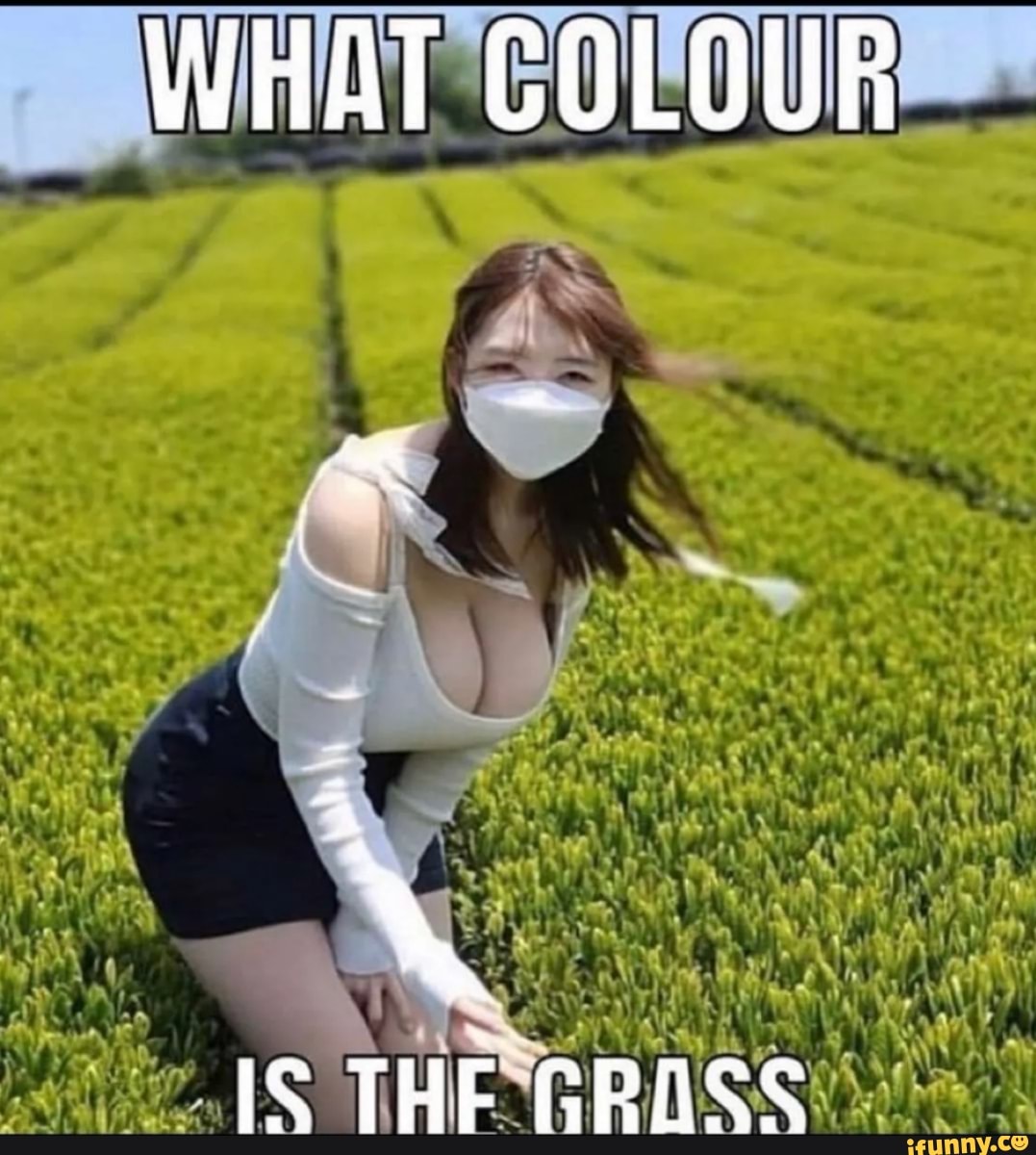 what-colour-is-the-ifunny