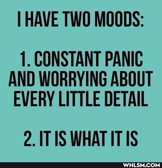 I HAVE TWO MOODS:
1. CONSTANT PANIC AND WORRYING ABOUT EVERY LITTLE DETAIL
2. IT IS WHAT IT IS