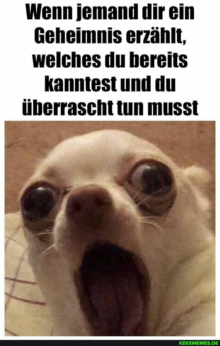 Wenn jemand dir ein
Geheimnis erzählt, welches du hereits
kanntest und du überrascht iiun musst