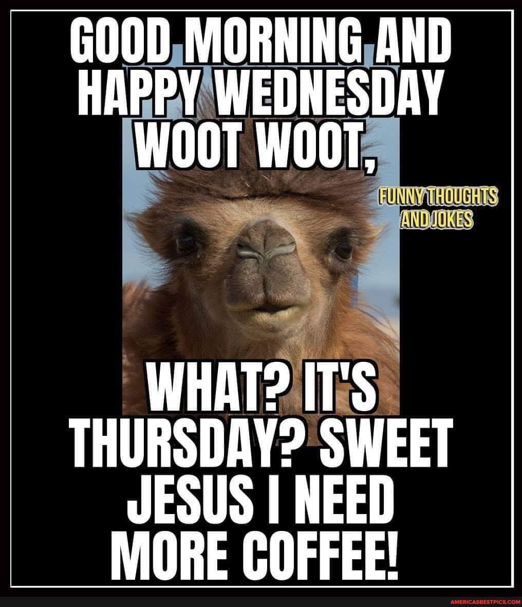 GOOD MORNING AND HAPPY WEDNESDAY WOOT WOOT,
WHAT? IT'S THURSDAY? SWEET JESUS I NEED MORE COFFEE!