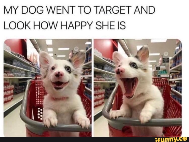 MY DOG WENT TO TARGET AND LOOK HOW HAPPY SHE IS