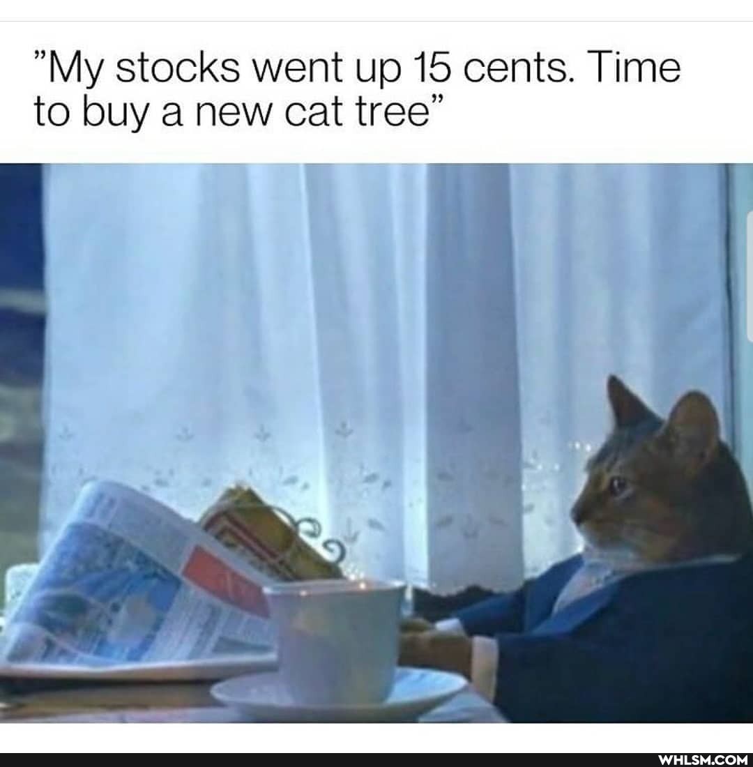 "My stocks went up 15 cents. Time to buy a new cat tree"