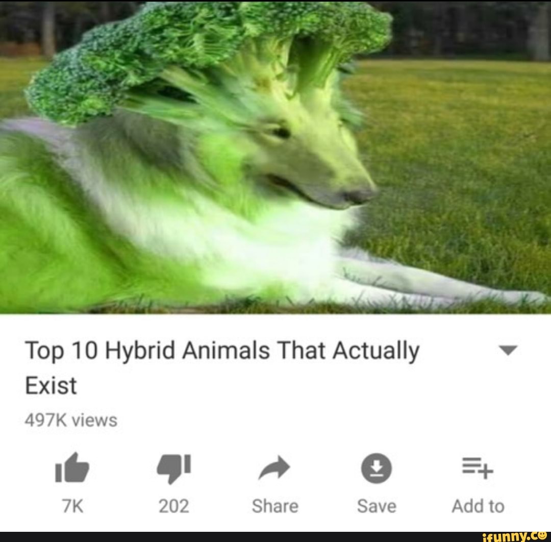 Top 10 Hybrid Animals That Actually Exist 497K views 202 Share Save Add to  