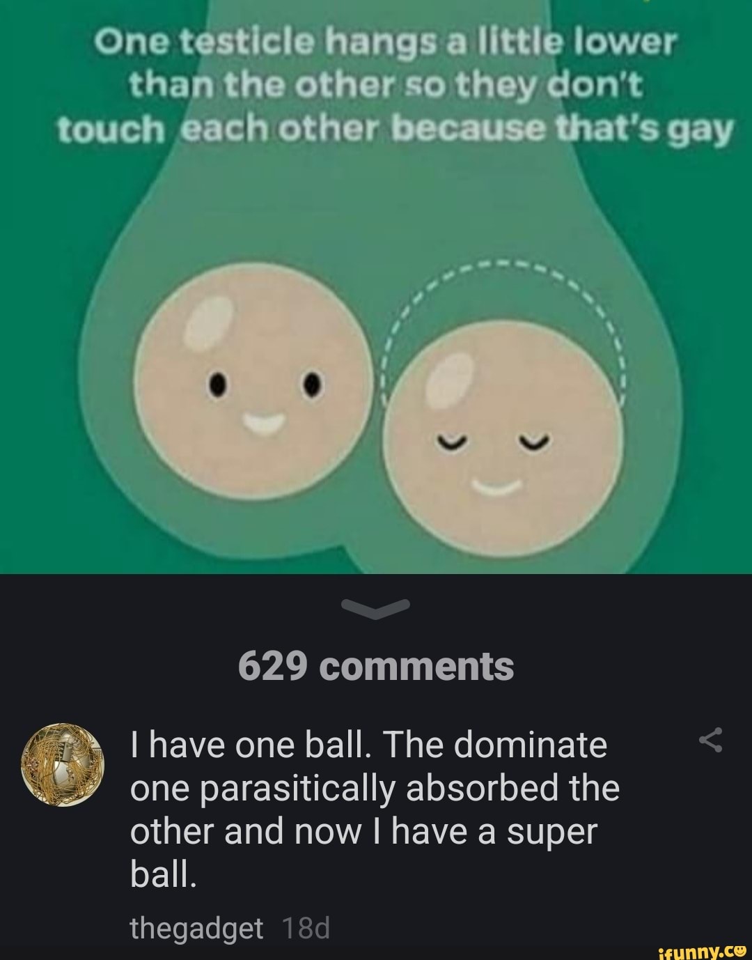 One testicle hangs a little lower than the other so they don't touch