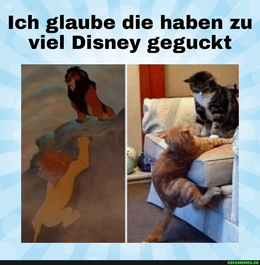 Ich glaube die haben zu viel Disney geguckt